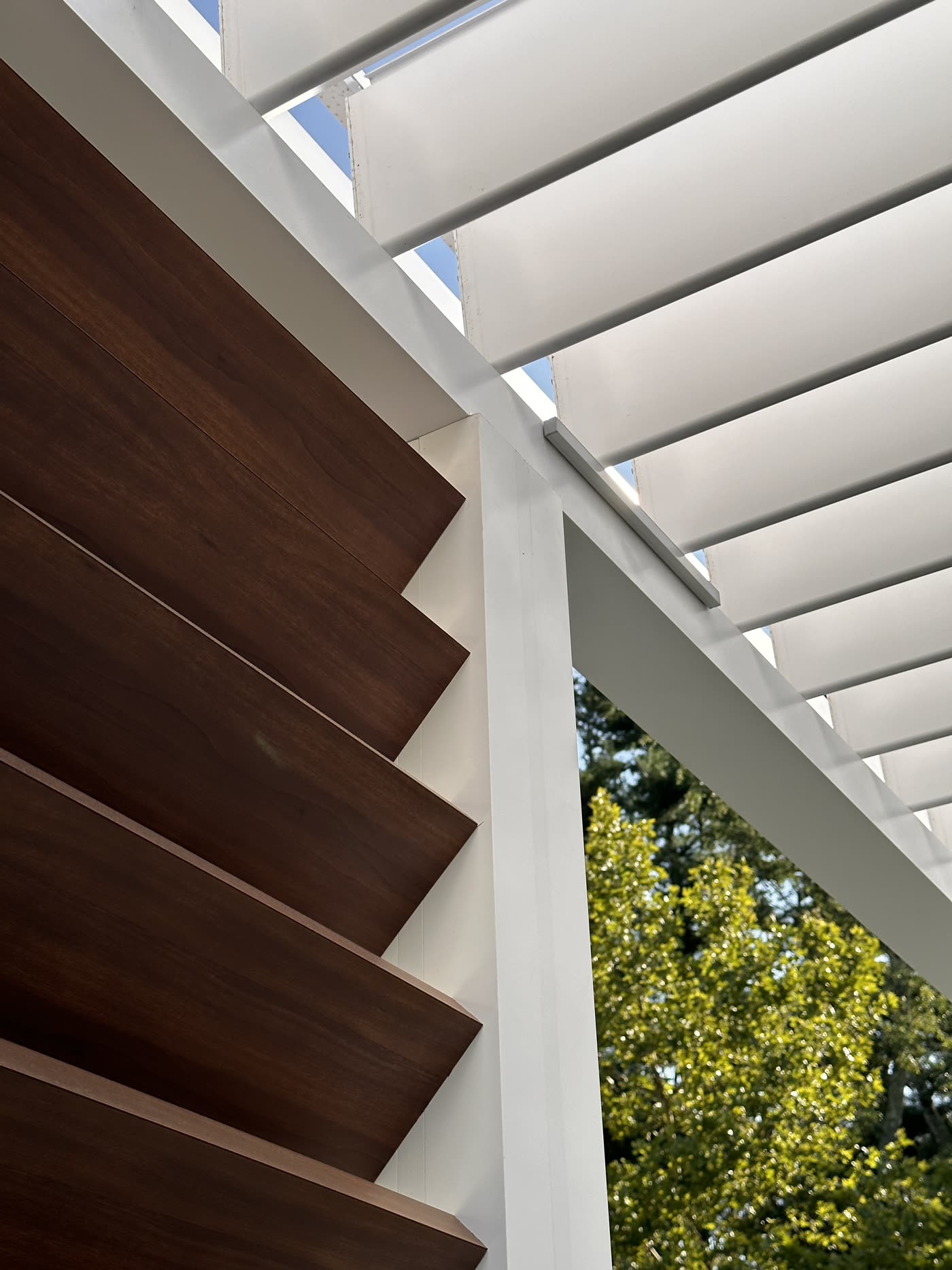Louvers and IPE wood detail